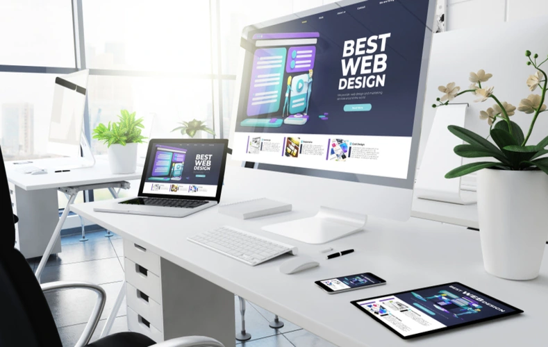 Professional website design services for businesses